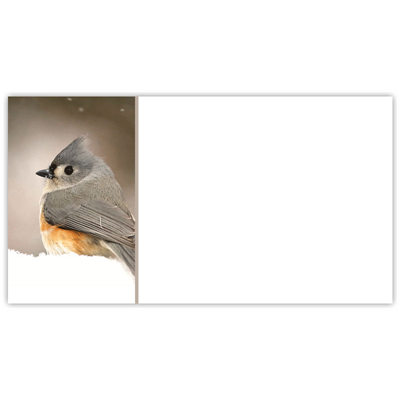 Tufted Titmouse Labels