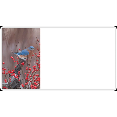 Eastern Bluebirds Labels