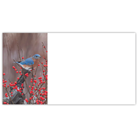 Eastern Bluebirds Labels - NWF240030AL