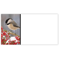 Chickadee Labels - NWF240031AL