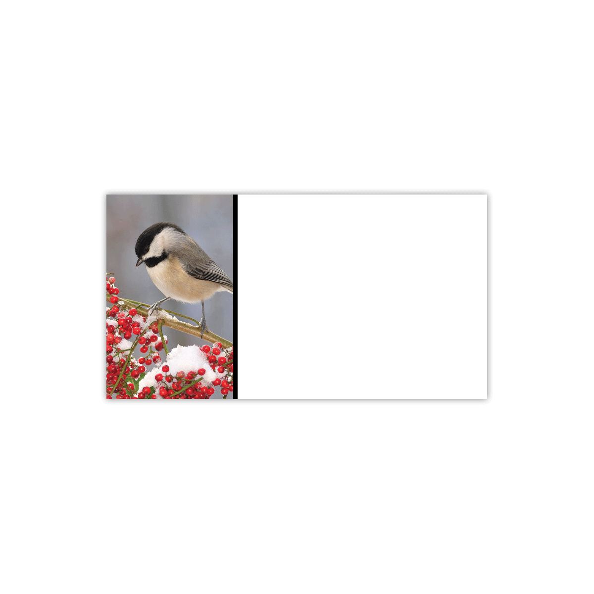 Chickadee Labels