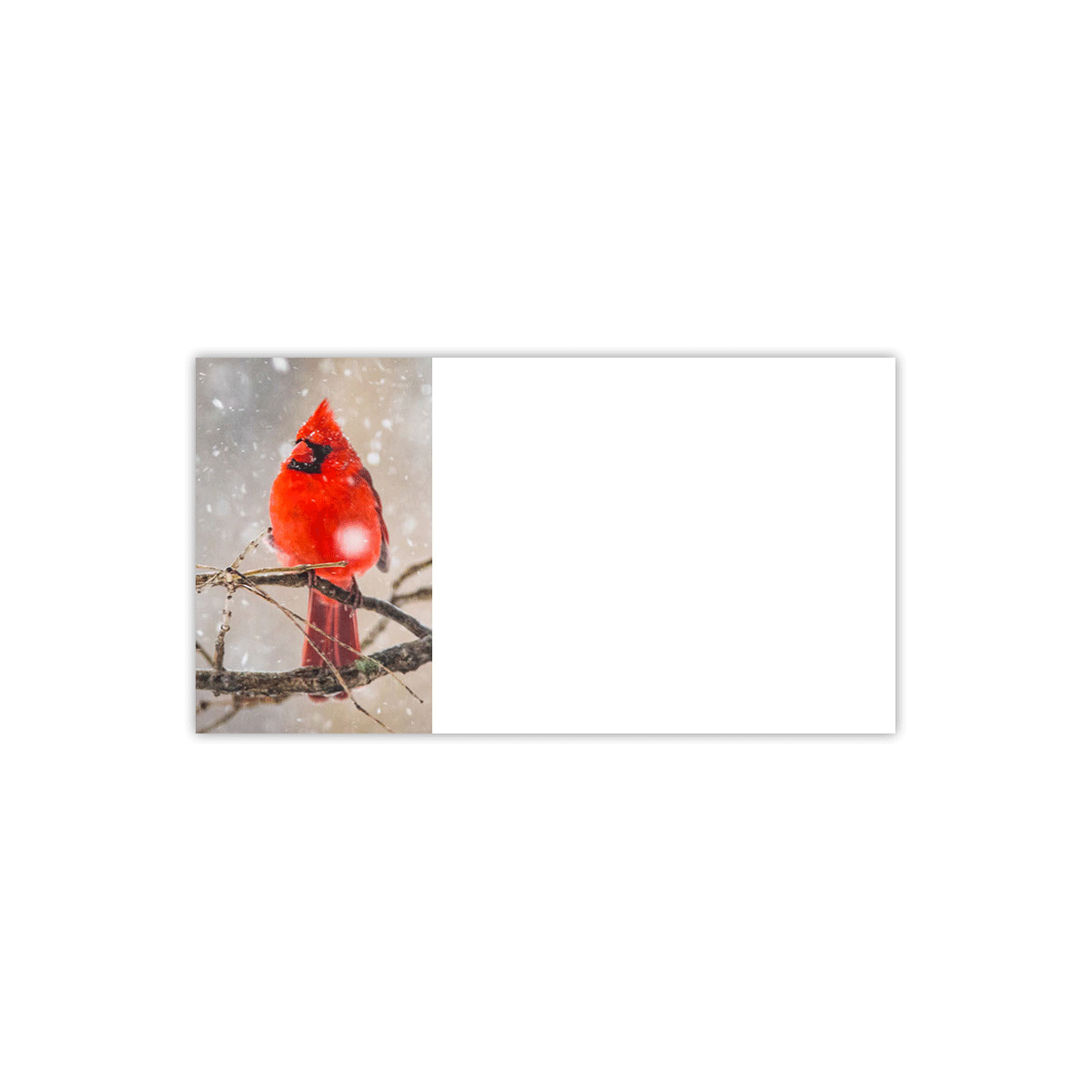 Male Cardinal Labels