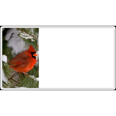 Cardinal in Pine Tree Labels