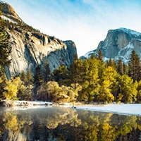 Yosemite Park Seals - NWF240036S