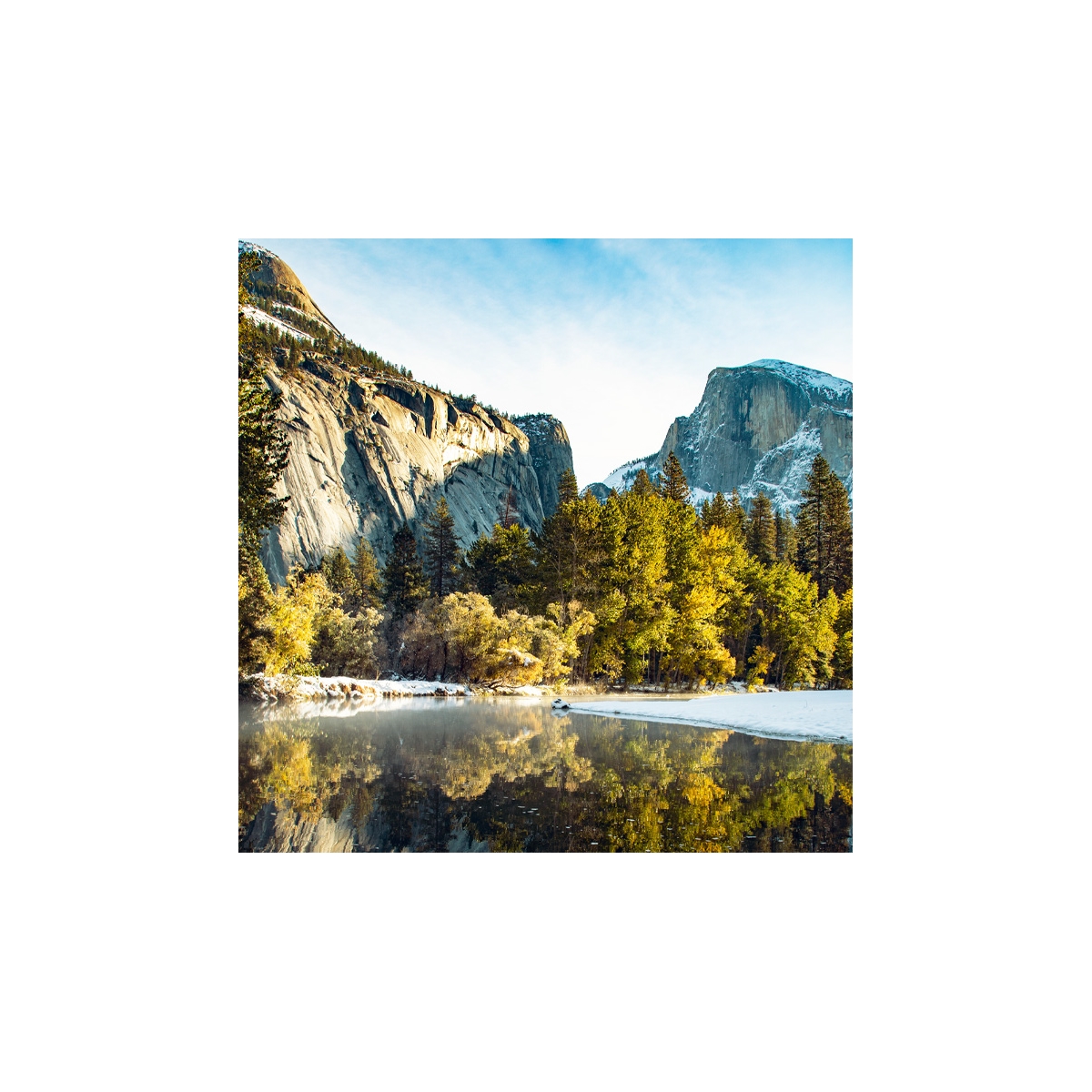 Yosemite Park Seals