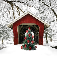 Winter Covered Bridge Seals - NWF240040S