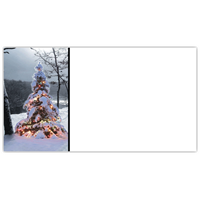 Bright Tree Labels - NWF240048AL