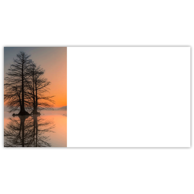 Trees for Wildlife Misty Sunrise Labels