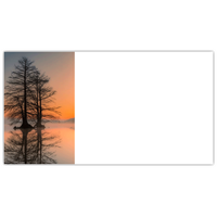 Trees for Wildlife Misty Sunrise Labels - NWF240058AL