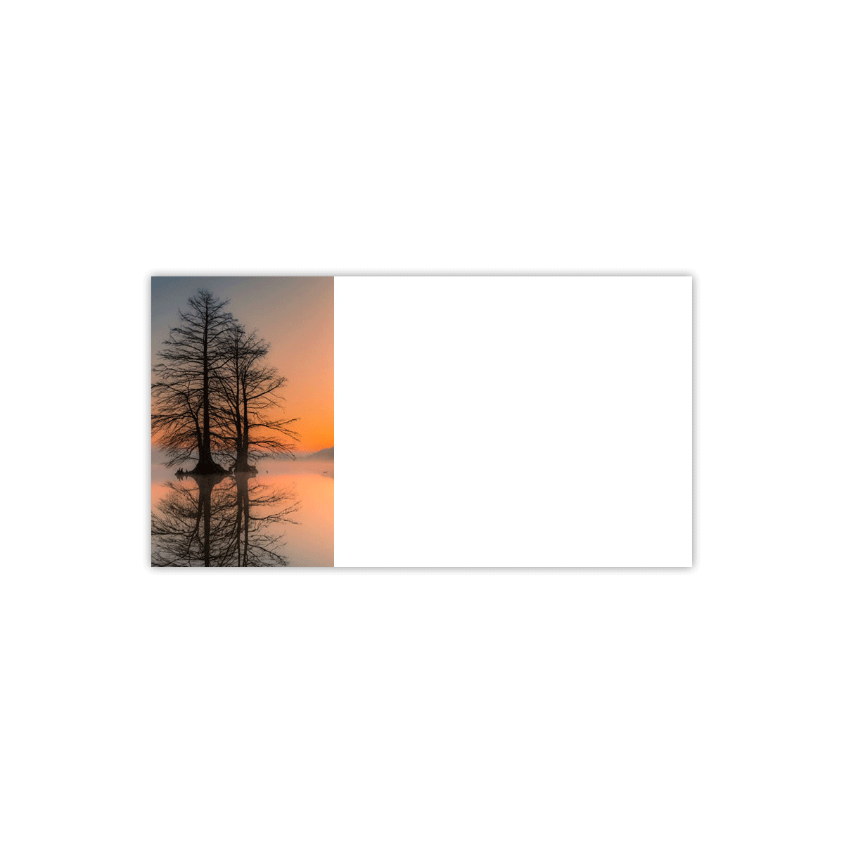 Trees for Wildlife Misty Sunrise Labels